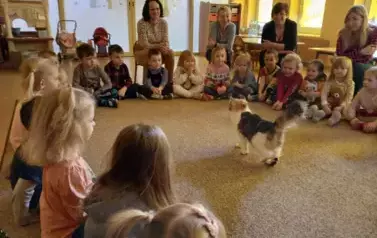 dzieci w kole patrzą na kota