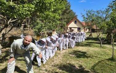 dzieci ubrane w pszczelarskie uniformy pozują do zdjęcia