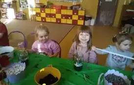 dzieci siedzą przy stolikach z materiałem przyrodniczym