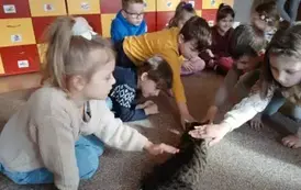dzieci głaszczą kota