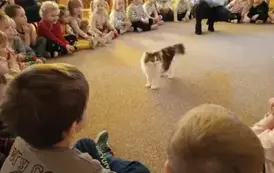 dzieci siedzą w kole i obserwują kota