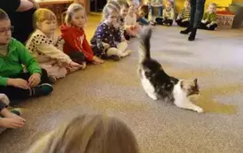 dzieci patrzą na kota jak się przeciąga