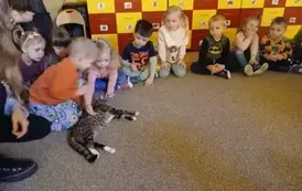 dzieci głaszczą kota