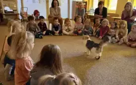 dzieci w kole patrzą na kota