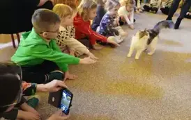 dzieci głaskają kota