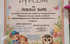 Dyplom za udział w konkursie